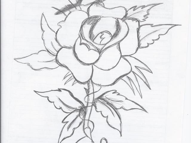 640x480 Drawn Butterfly Rose - Butterfly On Rose Drawing