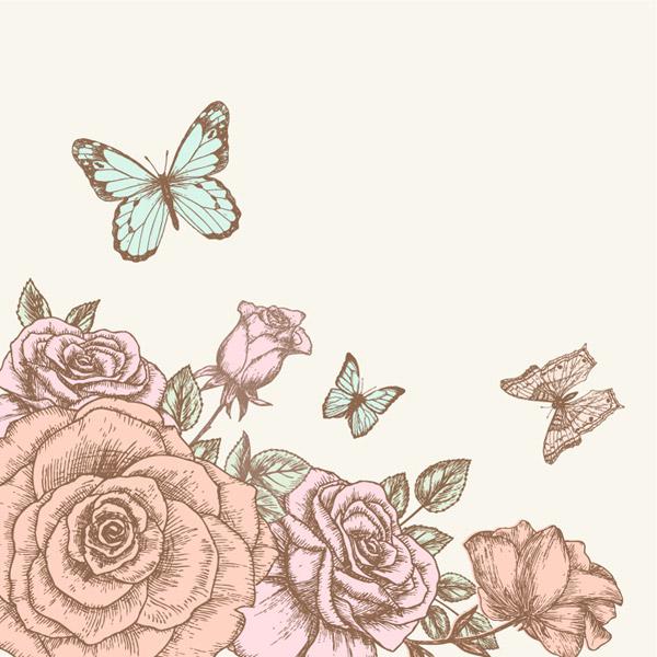 600x600 Hand Drawn Rose And Butterfly Vector - Butterfly On Rose Drawing