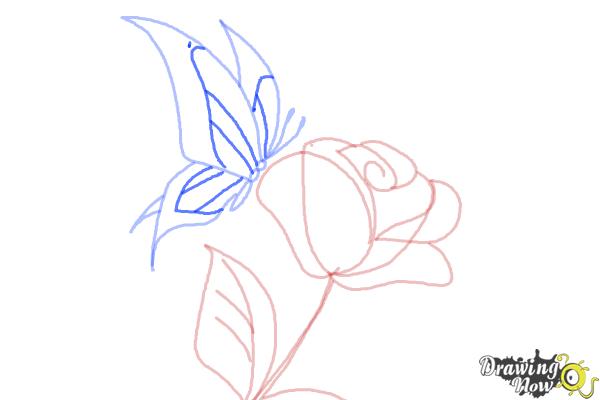 600x400 How To Draw A Butterfly On A Flower - Butterfly On Rose Drawing