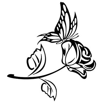 355x355 Sodial - Butterfly On Rose Drawing