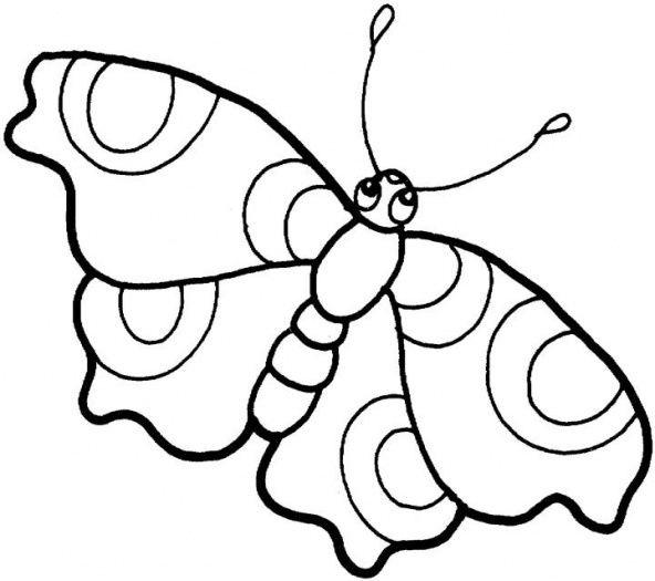 Butterfly Pics Drawing