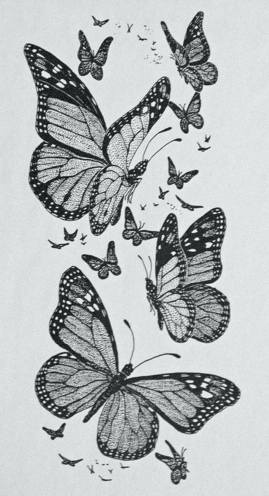 555x1024 Butterfly Drawing Free Download On Butterfly Pencil Drawing - Butterfly Pics Drawing
