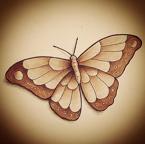 500x495 Butterfly Drawing Uploaded - Butterfly Pics Drawing