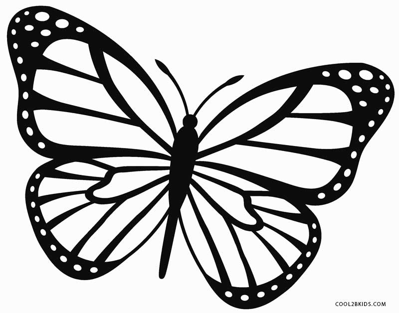 800x628 Monarch Butterfly Clipart Butterfly Drawing - Butterfly Pics Drawing
