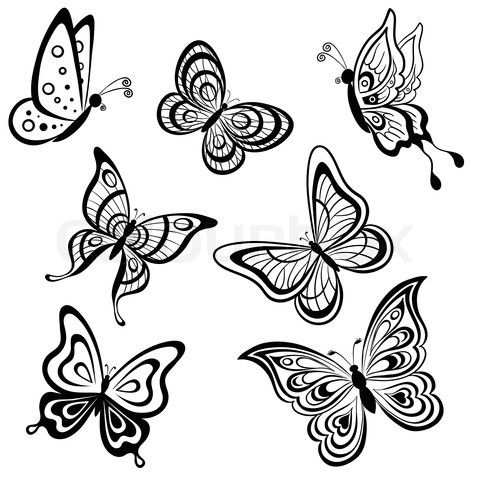 480x480 Stock Image Of 'set Symbolical Butterflies, Hand Draw Monochrome - Butterfly Pics Drawing