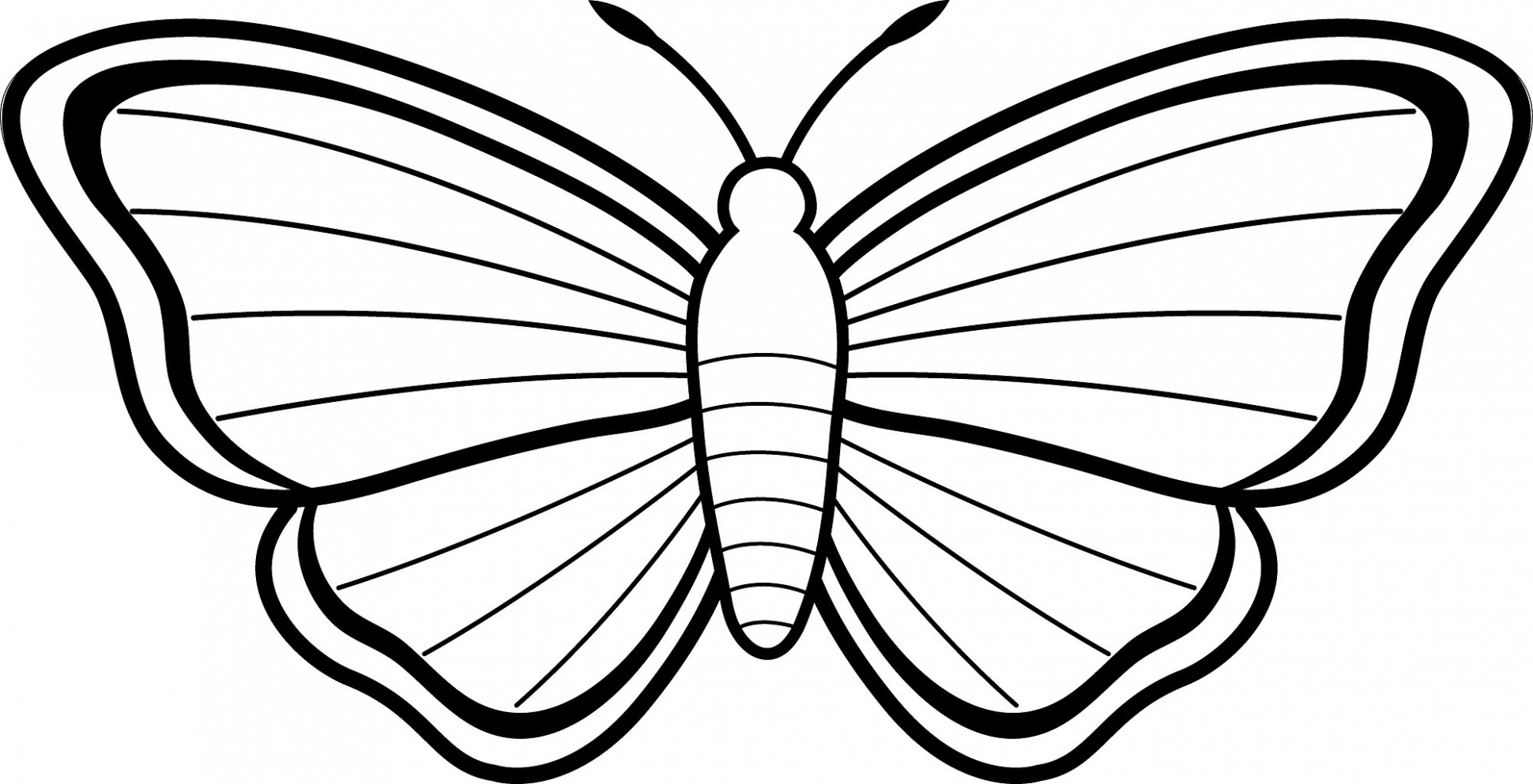 1940x993 butterfly clipart free black and white alternative clipart design - Butterfly Pics Drawing