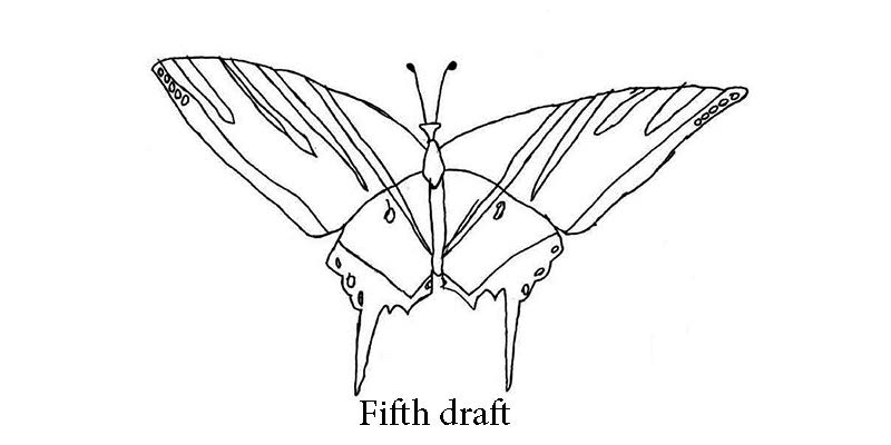 800x400 austin's butterfly drafts models of excellence - Butterfly Pics Drawing