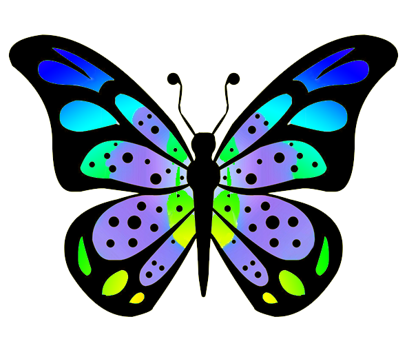 591x492 Butterfly Clipart - Butterfly Pics Drawing