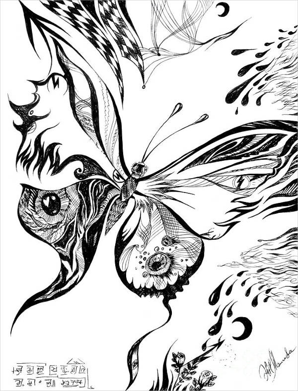 600x788 Butterfly Drawings, Art Ideas Free Premium Templates - Butterfly Pictures Drawing
