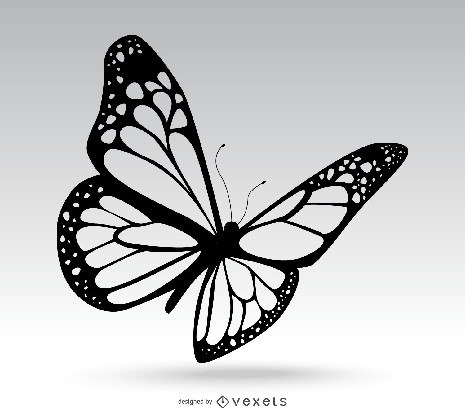 Isolated Butterfly Drawing - Butterfly Pictures Drawing. 