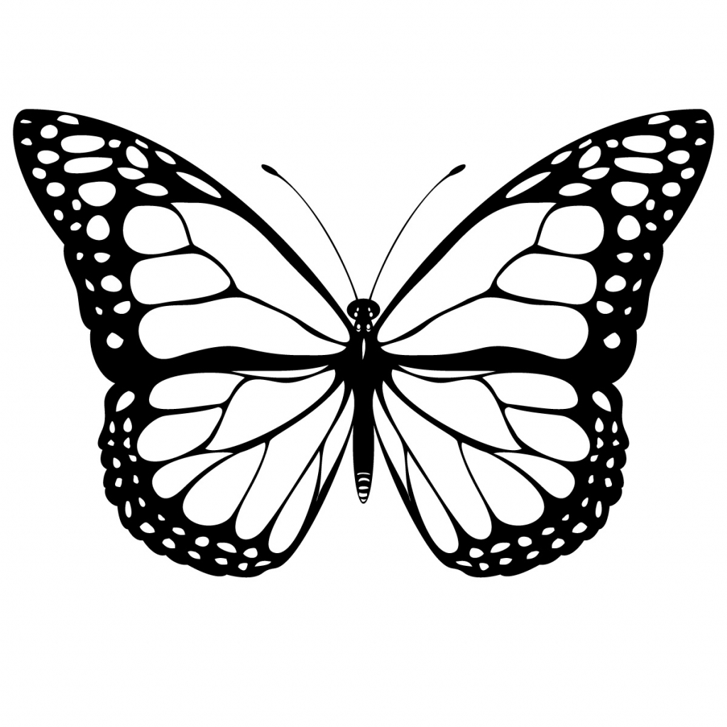 1024x1024 Simple Butterfly Drawing Easy How To Draw A Real For Kids - Butterfly Pictures Drawing