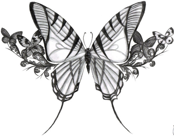 Butterfly Tattoo Drawing at PaintingValley.com | Explore collection of ...
