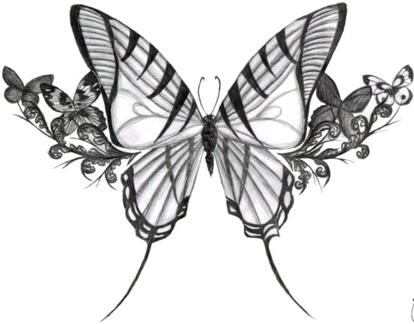 600x470 Butterfly Tattoo Drawings In Pencil - Butterfly Tattoo Drawing