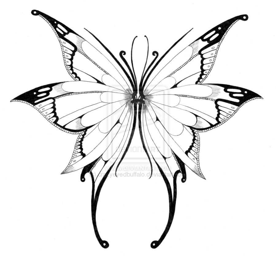 900x839 Butterfly Wings Drawing - Butterfly Wings Drawing