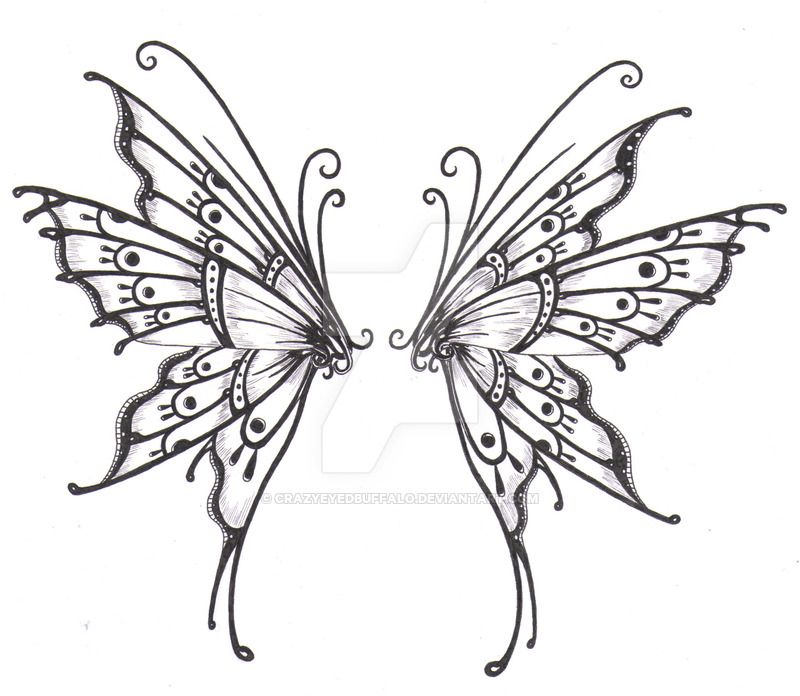 Butterfly Wings Drawing At Paintingvalley Com Explore Collection