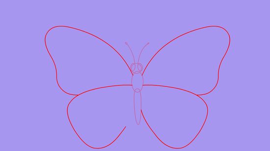 550x309 Ways To Draw A Butterfly Step - Butterfly Wings Drawing