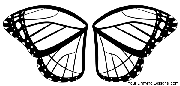600x288 How To Draw A Monarch Butterfly Your Drawing Lessons - Butterfly Wings Drawing