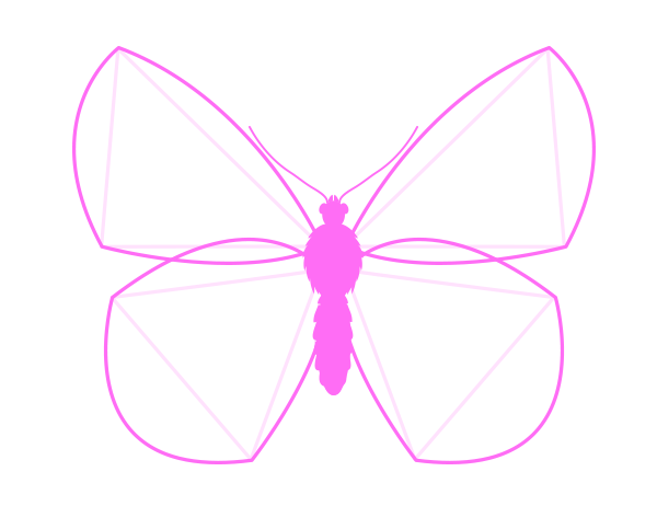 600x462 How To Draw Animals Butterflies, Their Anatomy And Wing Patterns - Butterfly Wings Drawing