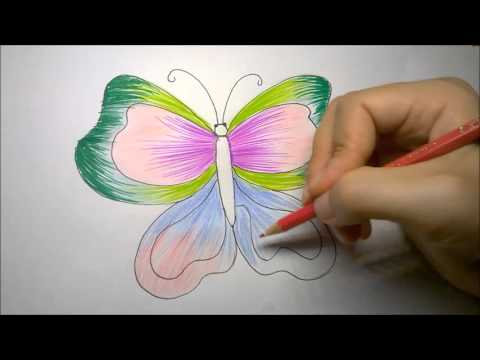 480x360 How To Draw Butterfly Step - Butterfly Wings Drawing