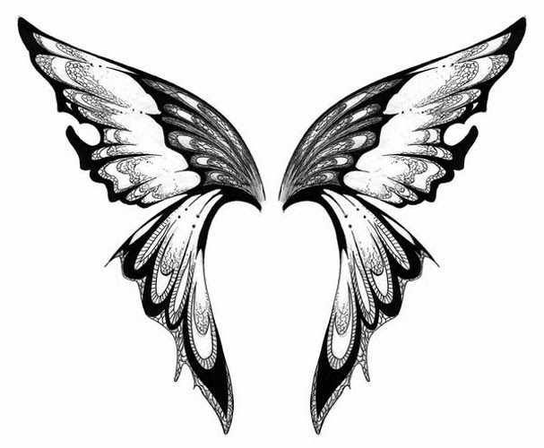 607x500 Image Result For Butterfly Wings Clipart Black And White - Butterfly Wings Drawing