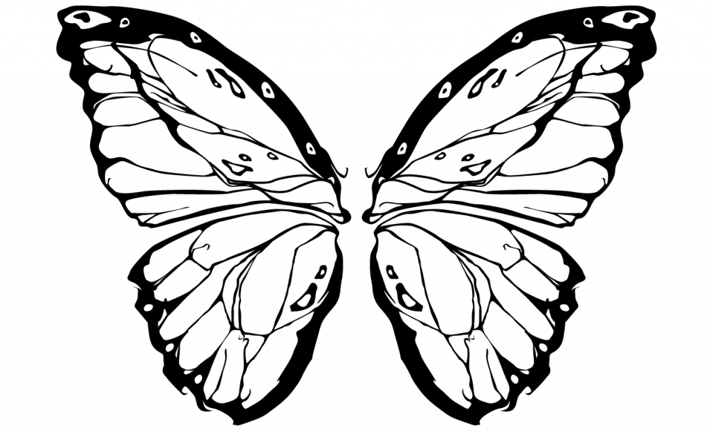 1024x620 How To Draw Wings - Butterfly Wings Drawing
