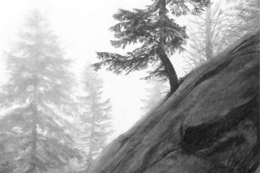 370x247 Buy Original Drawings - Buy Drawings