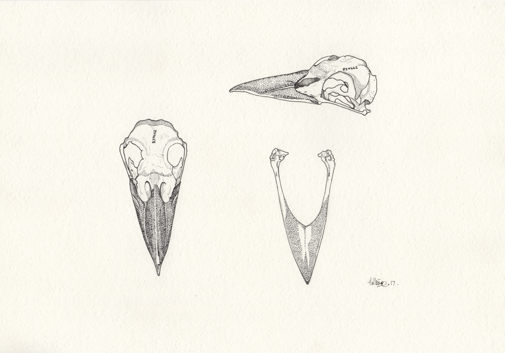 1000x699 Buy Original Drawings - Buy Drawings