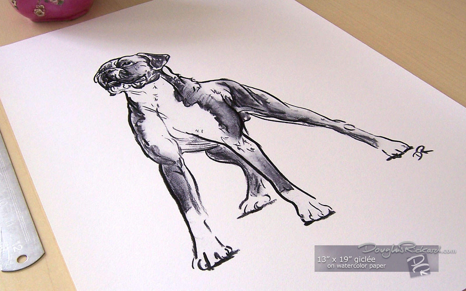 1600x1000 Buy Poster Size Art Of A Boxer Dog Drawing - Buy Drawings