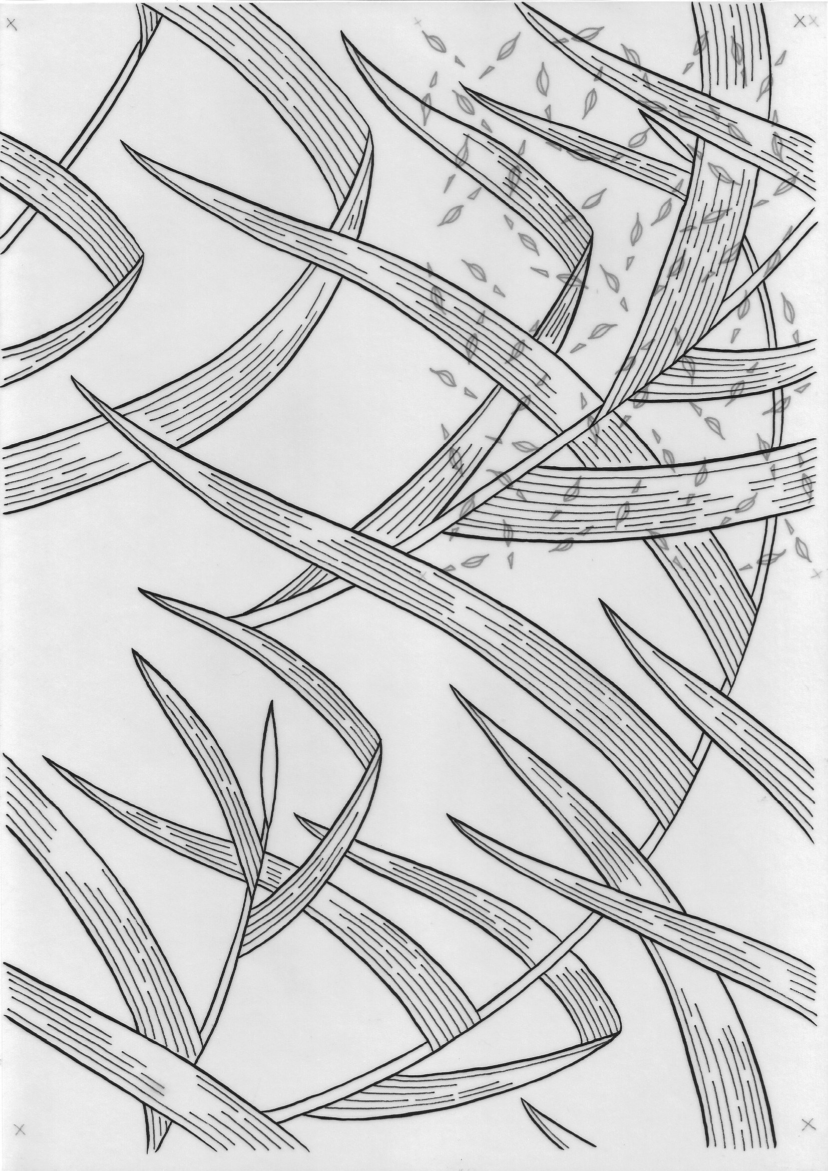 1654x2338 buy quick lovegrass inked drawings - Buy Drawings