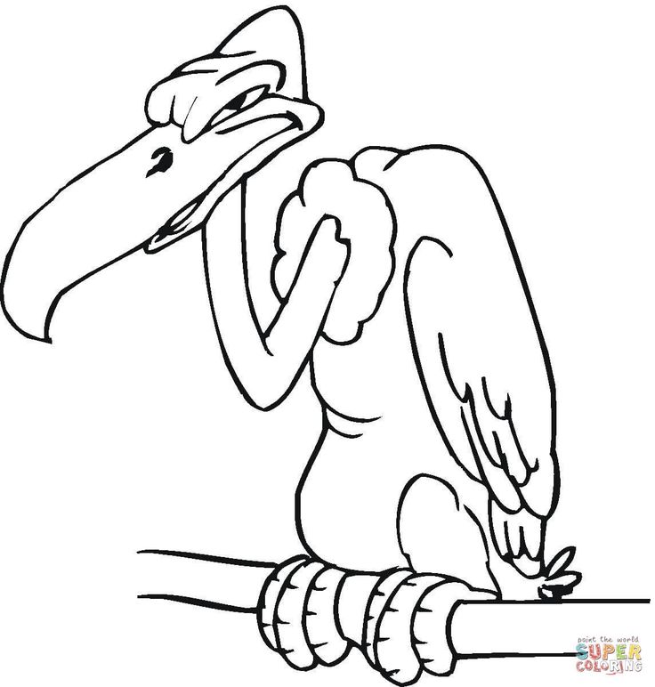 736x772 Vulture Drawing Buzzard For Free Download - Buzzard Drawing