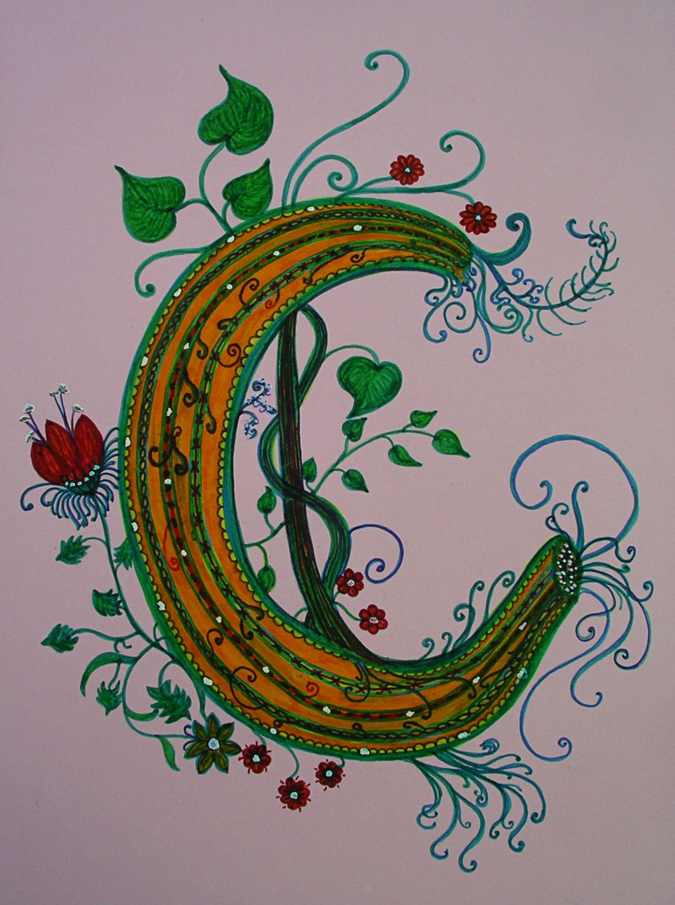 1329x1780 C Picture - C Drawing