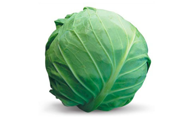 650x400 How To Draw Cabbage With A Pencil Step - Cabbage Drawing