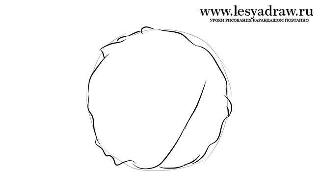 650x400 How To Draw Cabbage With A Pencil Step - Cabbage Drawing