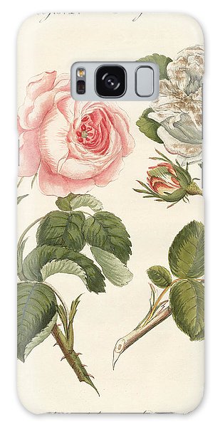 309x600 cabbage rose galaxy cases fine art america - Cabbage Rose Drawing