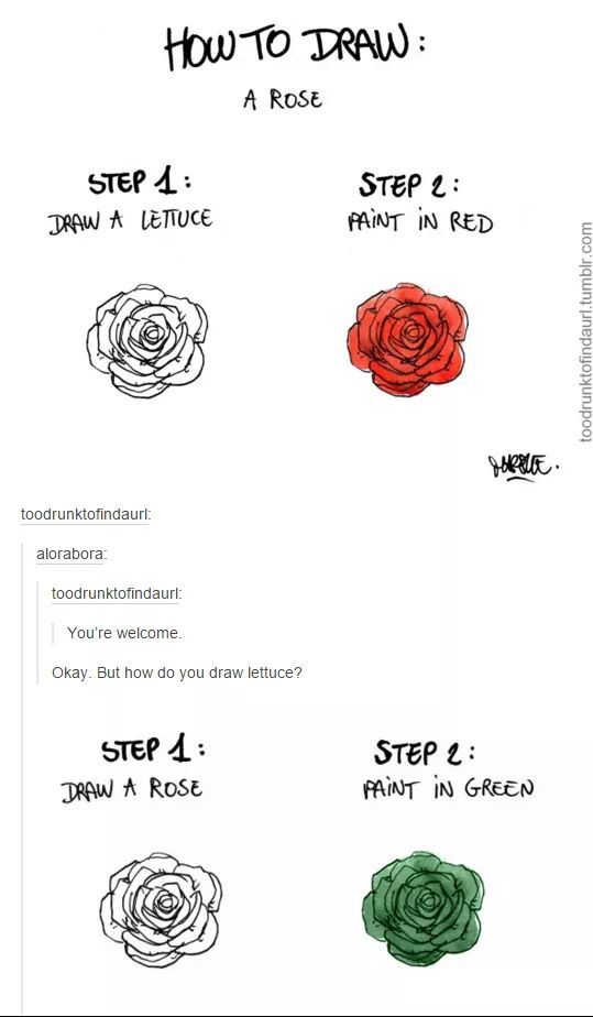 539x924 how to draw a rose how to draw an owl know your meme - Cabbage Rose Drawing