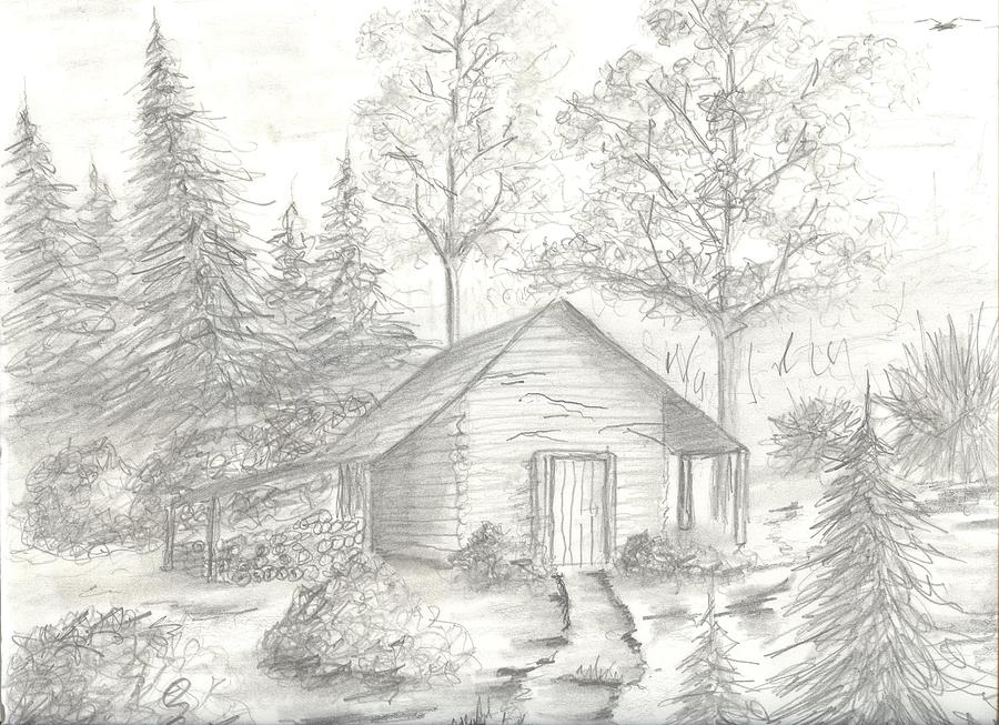 900x653 Shack In The Woods Drawing - Cabin In The Woods Drawing