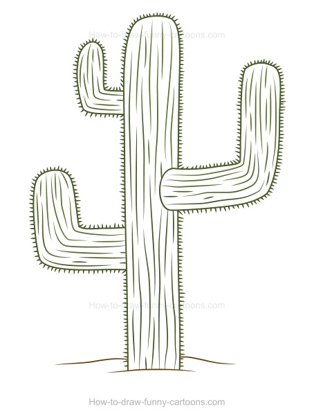 454x602 How To Draw A Cactus - Cactus Cartoon Drawing