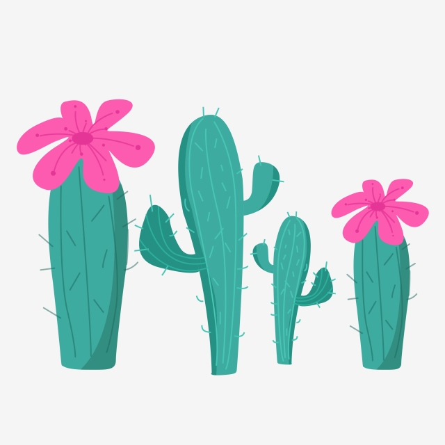 640x640 cactus cartoon hand drawn illustration cactus cartoon hand drawn - Cactus Cartoon Drawing