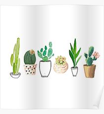 210x230 Cactus Drawing Posters Redbubble - Cactus Drawing
