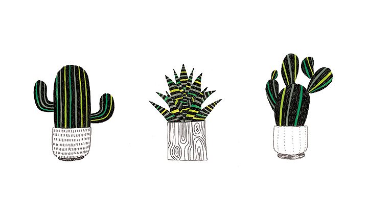 720x425 Cactus Drawing Free Download - Cactus Drawing