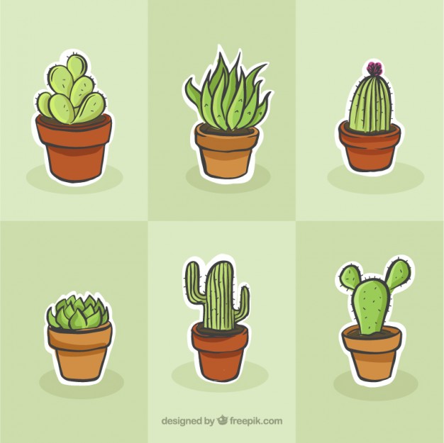 626x625 Cactus Drawing Set Vector Free Download - Cactus Drawing