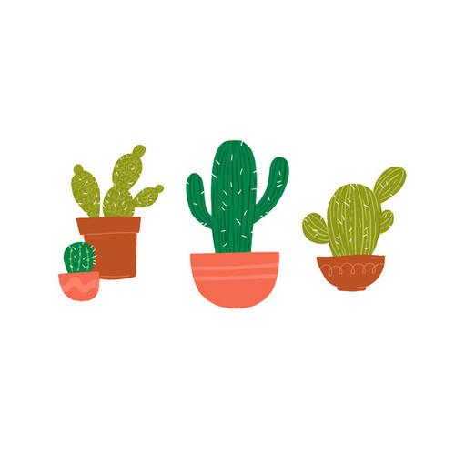 500x500 Cactus Drawing Uploaded - Cactus Drawing