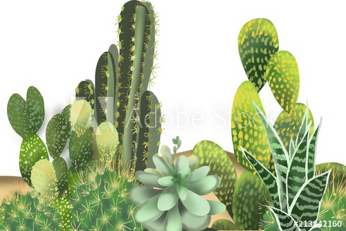 500x334 Original Art Cactus Drawing Painting Background And Frame - Cactus Drawing