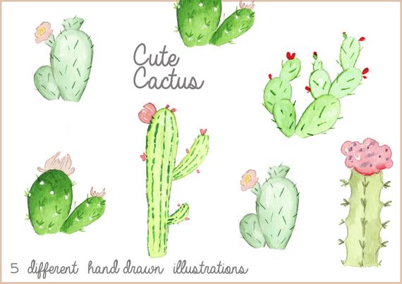 570x403 watercolor cactus cactus clipart cactus drawing cactus etsy - Cactus Drawing