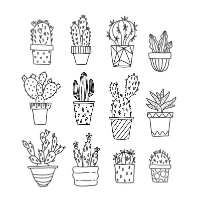 640x640 Cactus Illustration Tumblr - Cactus Drawing