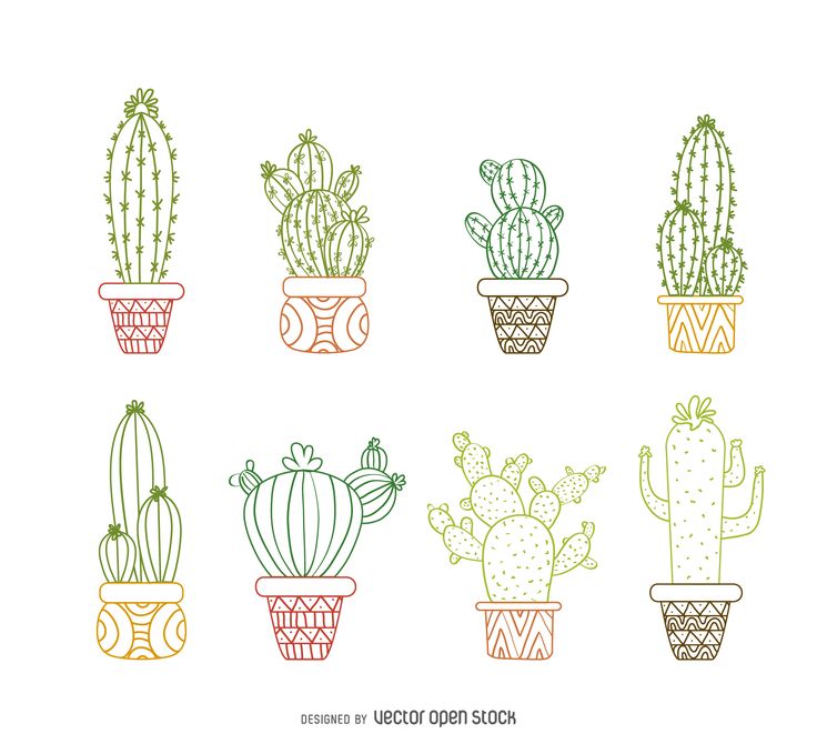 736x661 Tumblr Cactus Drawing - Cactus Drawing