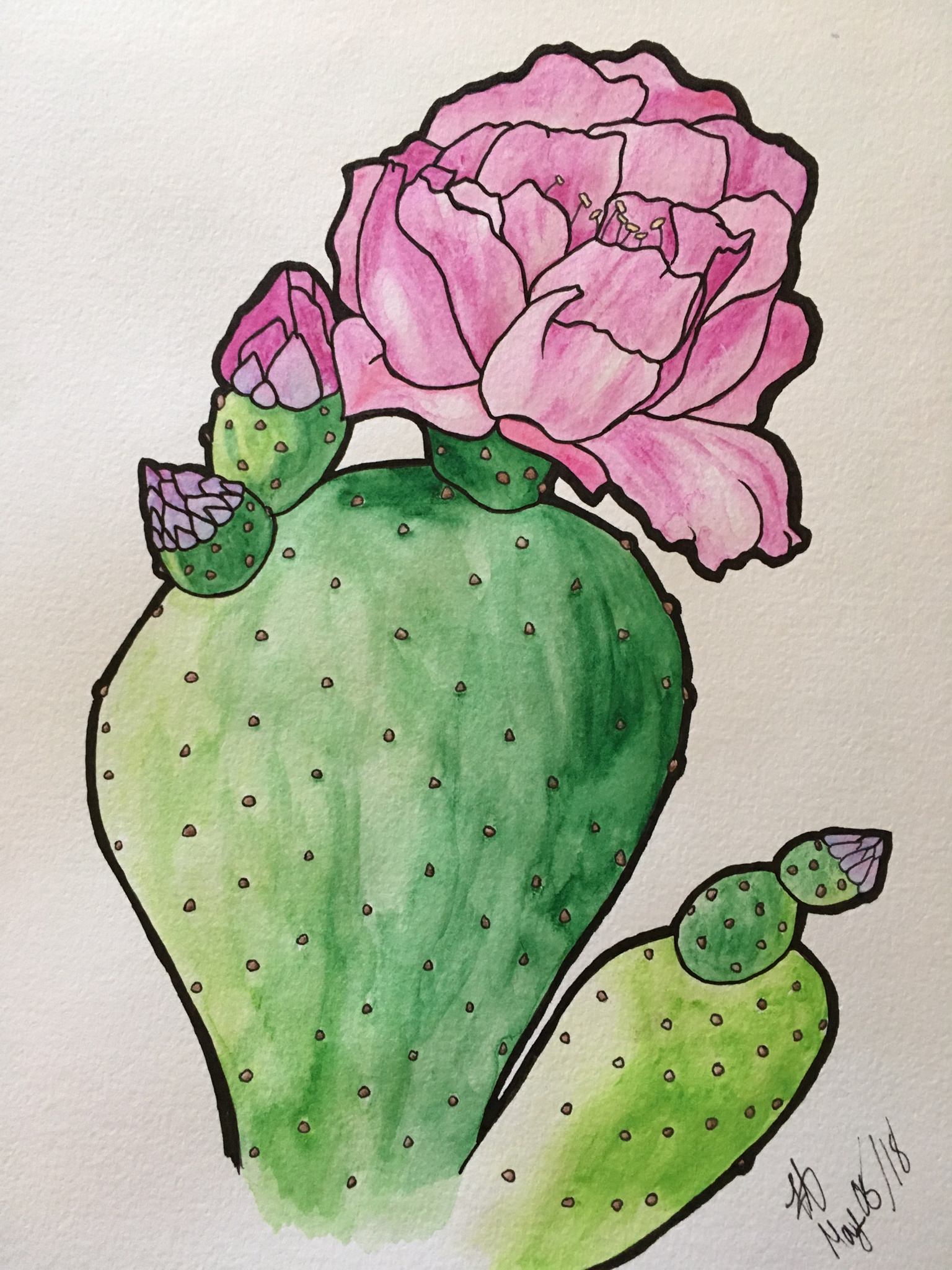 1536x2048 Cactus Drawing - Cactus Drawing