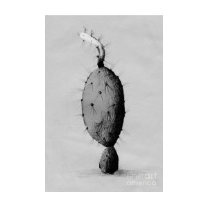 300x300 Cactus Drawing Origianl Pencil Drawing Painting - Cactus Drawing