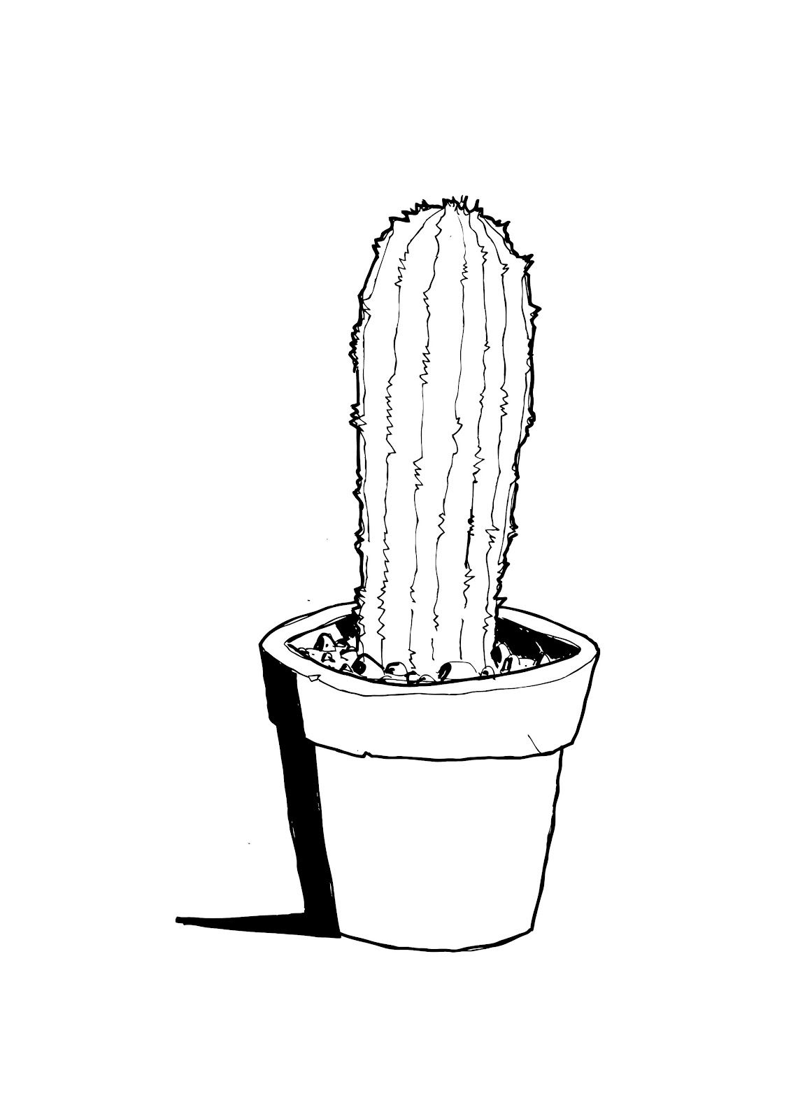 Cactus Drawing Black And White at Explore