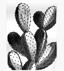 210x230 cacti drawing posters redbubble - Cactus Drawing Black And White